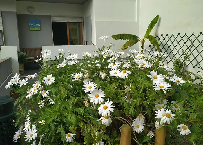 公寓 Margherita 夸尔图-圣埃莱娜