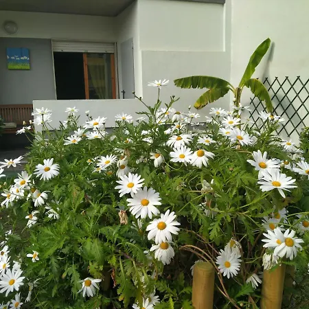 Apartment Margherita Quartu Sant'Elena